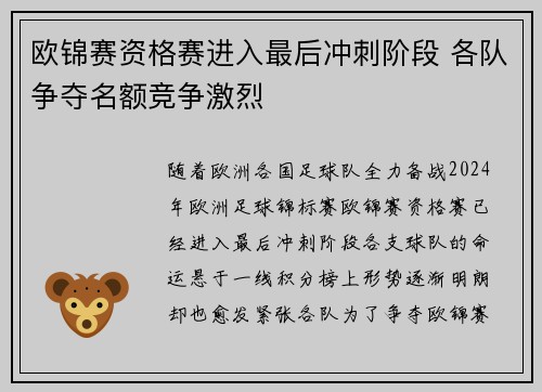 欧锦赛资格赛进入最后冲刺阶段 各队争夺名额竞争激烈