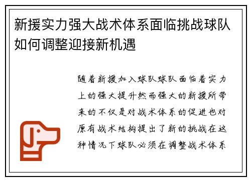 新援实力强大战术体系面临挑战球队如何调整迎接新机遇